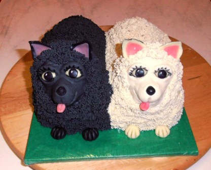 Pejskové duo (1)