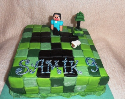 Minecraft (1)