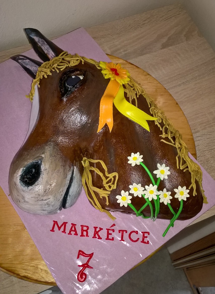 K sedmým narozeninám (2)
