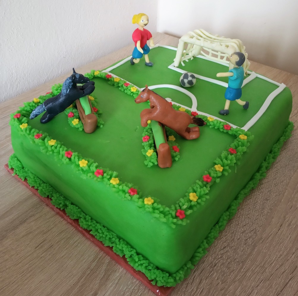 Fotbal a koně