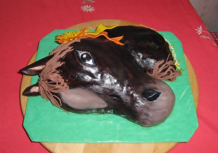 Kůň ke 30tinám (3)