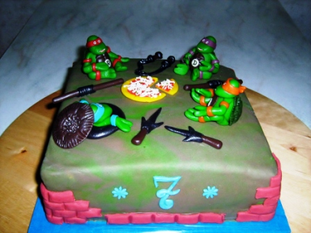 Želvy ninja (5)