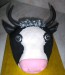 Hlava krávy (1)